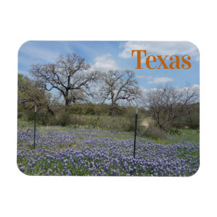 Imán Bluebonts estatales de flores de Texas