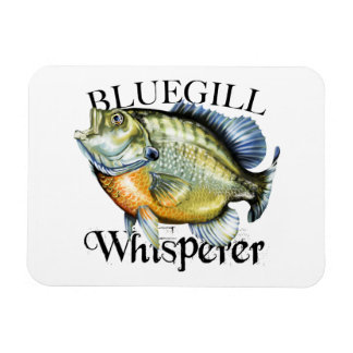 Imán Bluegill Whisperer