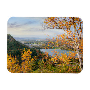 Imán Bluff & Birch Panorama Magnet