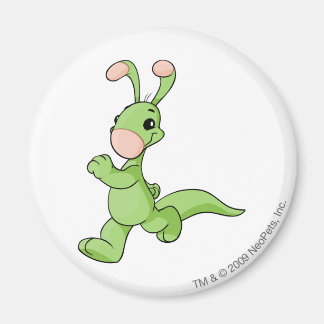 Imán Blumaroo Green
