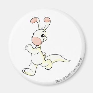Imán Blumaroo White
