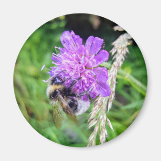 Imán Blütenkraft – Runder Magnet mit Hummelmotiv