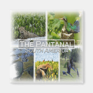 Imán BO0024 América, Sudamérica, Bolivia, Fridge