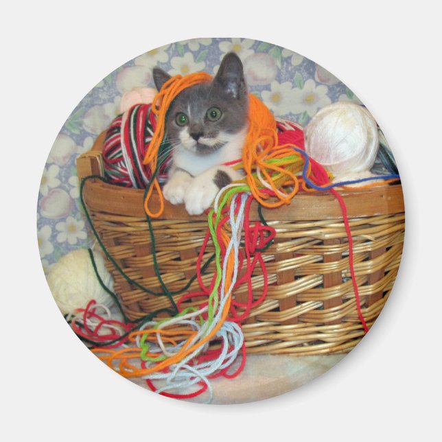 Imán Bob Spinn'in a Yarn Magnet (Frente)