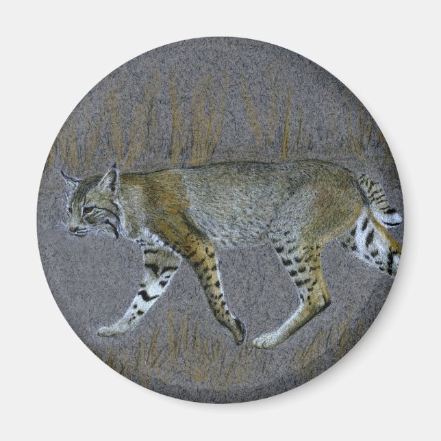 Imán Bobcat (Frente)