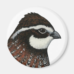 Imán Bobwhite Quail Head