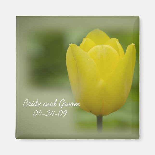 Imán Boda de la Primavera de Tulipanes Amarillos (Frente)