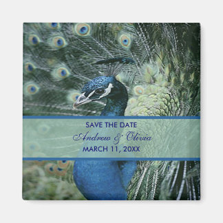 Imán Boda de pavo real guardar la fecha