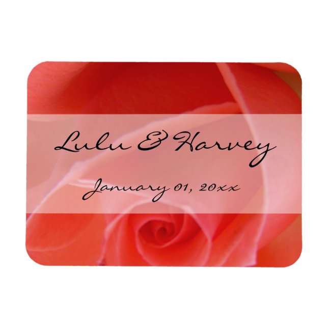 Imán Boda personal de rosa rosa rosa rosa blanco con pu (Horizontal)