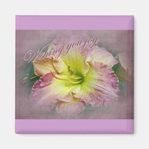 Imán Boda - Te deseo alegría