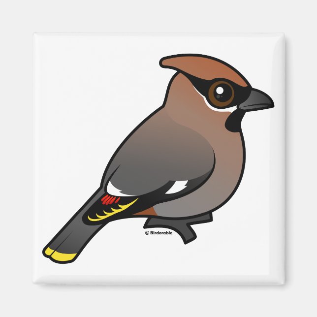 Imán Bohemian Waxwing (Frente)