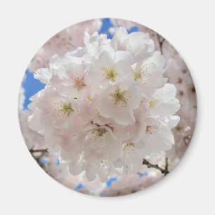 Imán Bolas de flores rosadas.