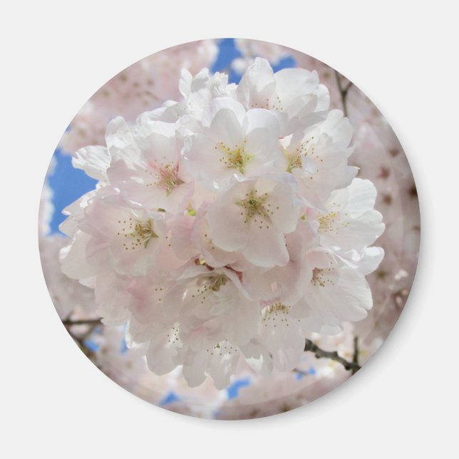 Imán Bolas de flores rosadas. (Frente)