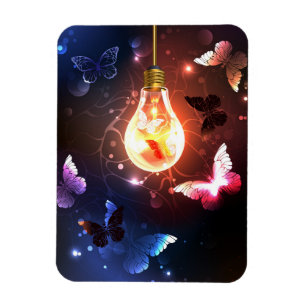 Imán Bombilla brillante con mariposas nocturnas