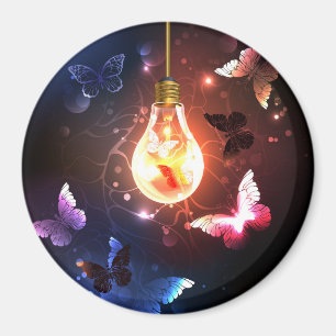 Imán Bombilla brillante con mariposas nocturnas