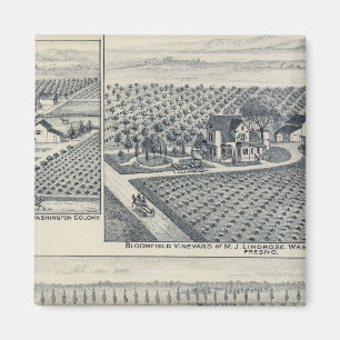 Imán Bonacourt Ranch, Washington Colony, California