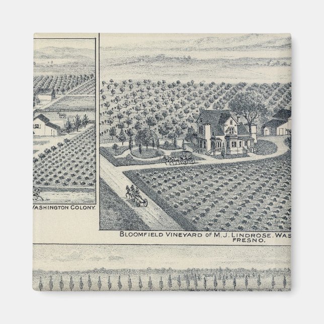 Imán Bonacourt Ranch, Washington Colony, California (Frente)
