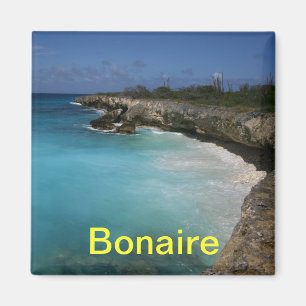 Imán Bonaire imnet