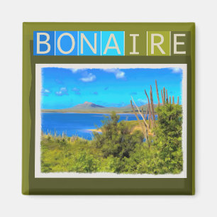 Imán Bonaire Watercolor