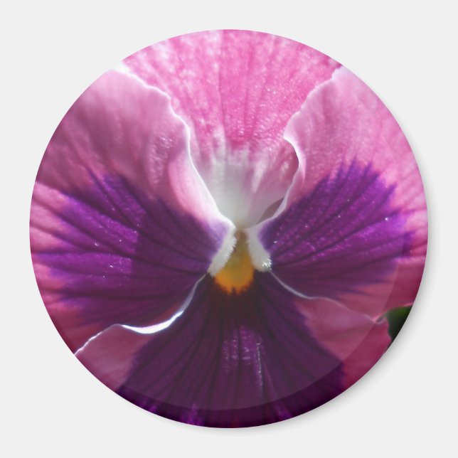 Imán Bonheur (Frente)