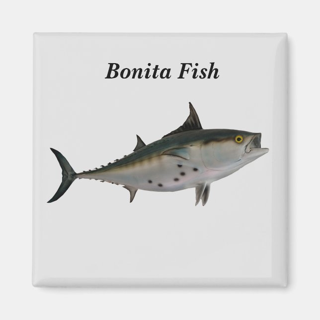 Imán Bonita Fish Magnet (Frente)