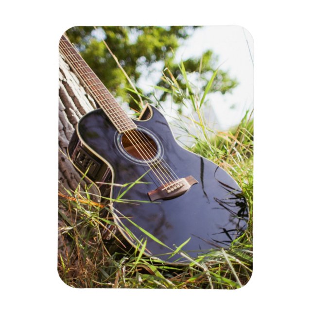Imán Bonito Bass Guitar (Vertical)
