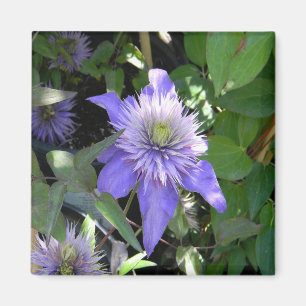Imán Bonito en morado...