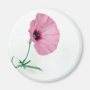 Imán Bonito en rosa