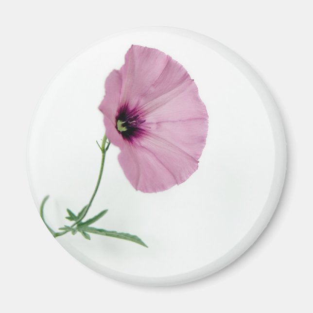 Imán Bonito en rosa (Frente)