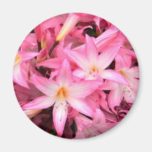 Imán Bonito en rosa...