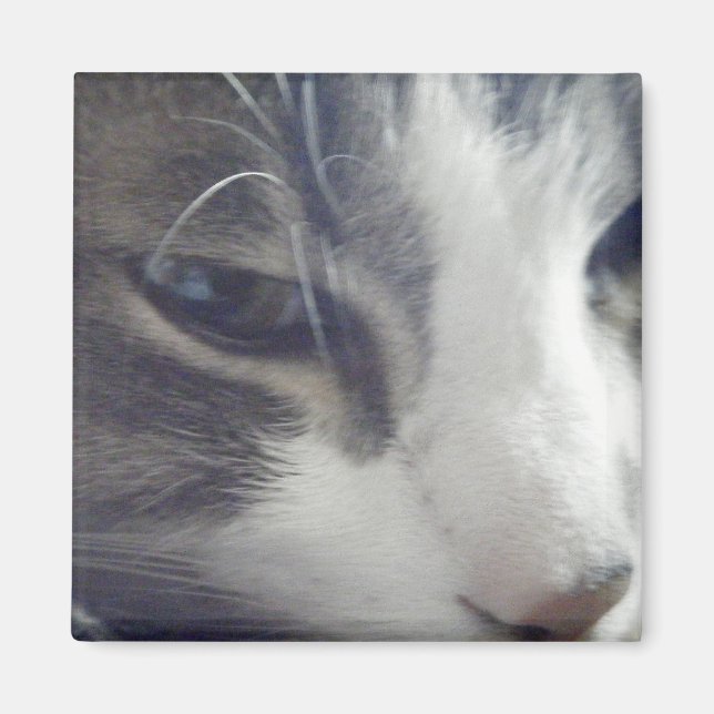 Imán Bonito Kitty (Frente)