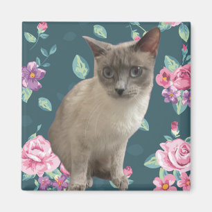 Imán Bonito Kitty