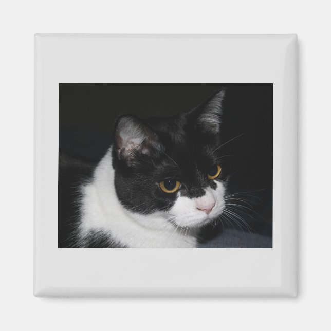 Imán Bonito Kitty Magnet (Frente)