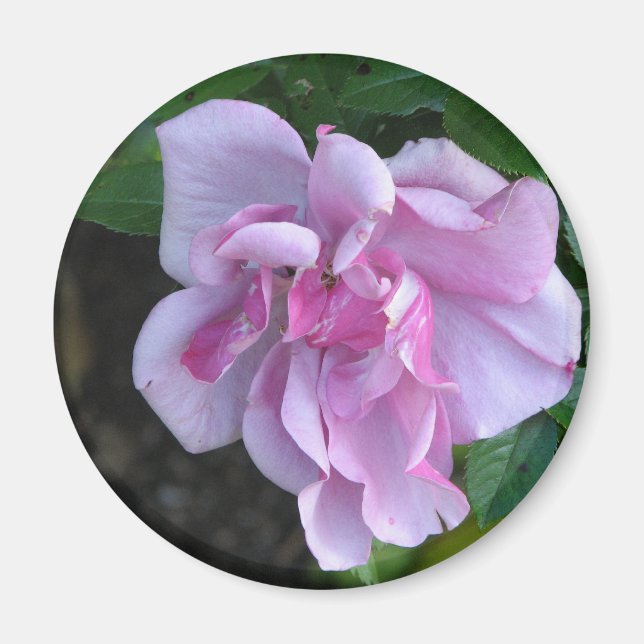 Imán Bonito Lady 092 (Frente)