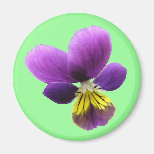Imán Bonito Pansy Magnet (Frente)