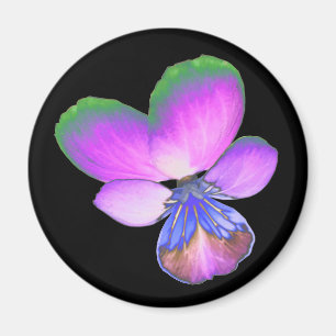 Imán Bonito Pansy Magnet