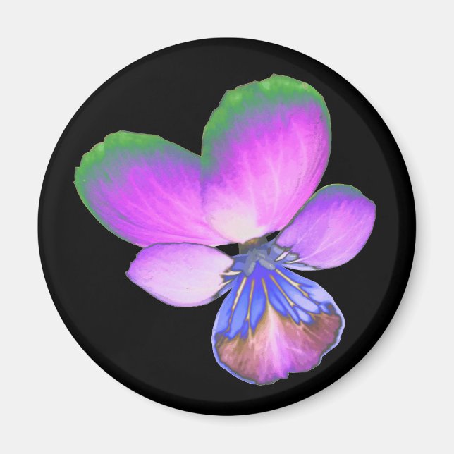 Imán Bonito Pansy Magnet (Frente)