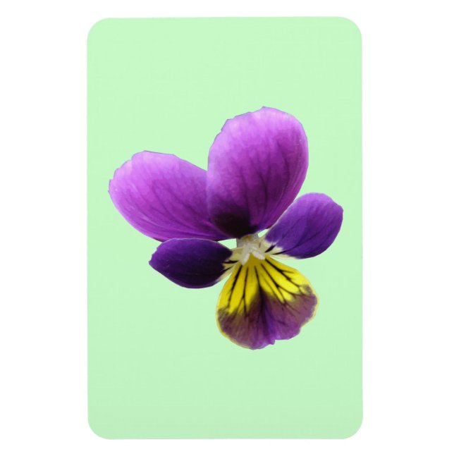 Imán Bonito Pansy Premium Magnet (Vertical)