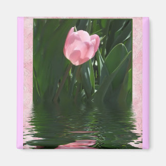 Imán Bonito Pink Tulip Magnet