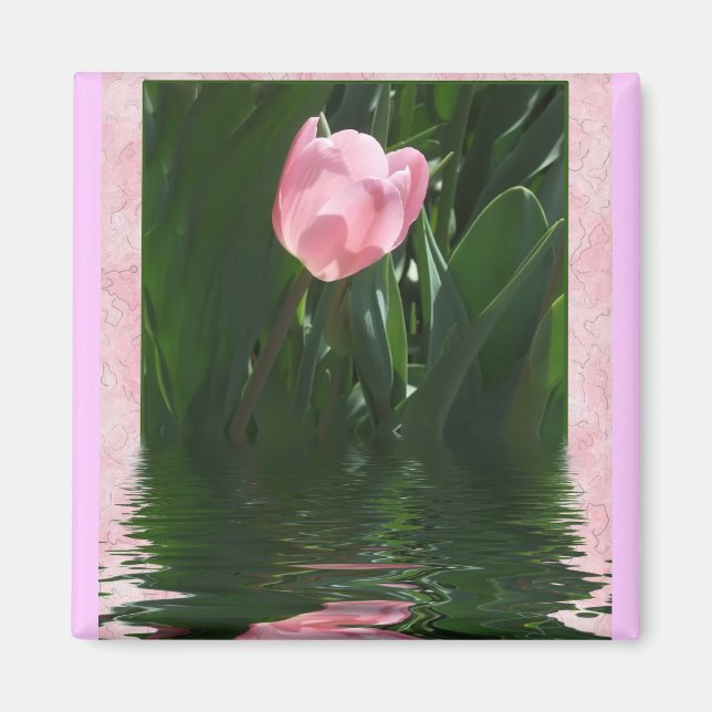 Imán Bonito Pink Tulip Magnet (Frente)