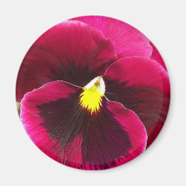 Imán Bonito Púrpura Pansy Floral