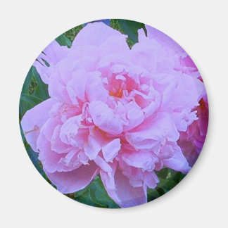 Imán "Bonito rosado"