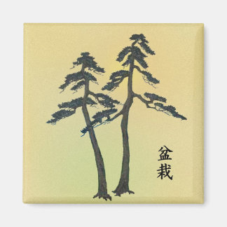 Imán Bonsai 06