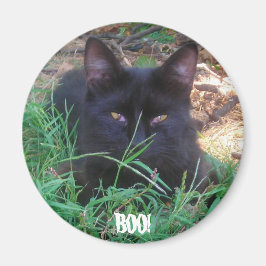 IMÁN ¡BOO! BLACK KITTY MAGNET