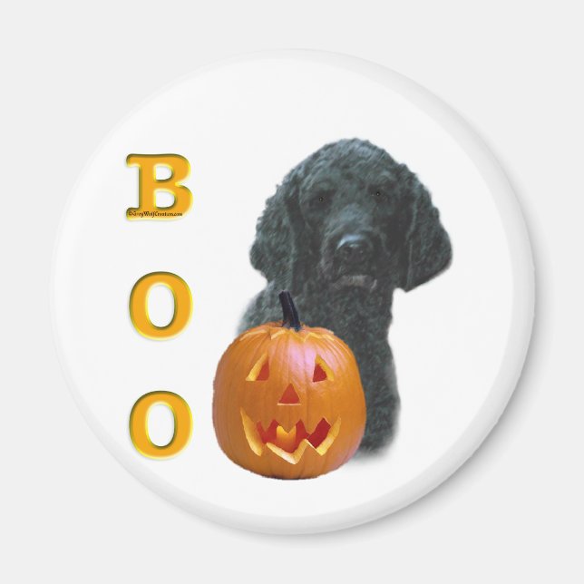 Imán Boo de cangrejo (recubierto de negro) (Frente)