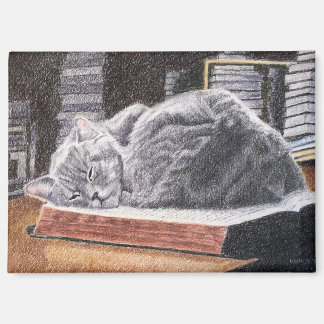 Imán Bookstore Cat