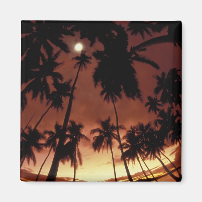 Imán Bora Bora, Polinesia Francesa Atardecer a través (Frente)