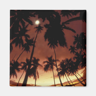 Imán Bora Bora, Polinesia Francesa Sunset, a través de