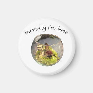 Imán borb planetarium