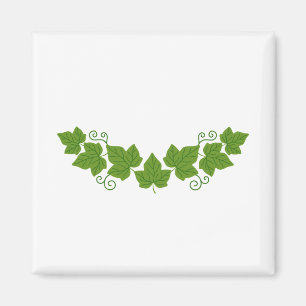 Imán Borde de hoja de marfil